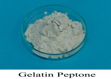 GELATIN PEPTONE