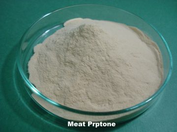 MEAT PEPTONE