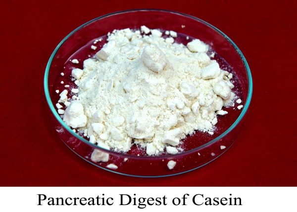 PANCREATIC DIGEST OF CASEIN