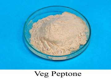 VEG PEPTONE